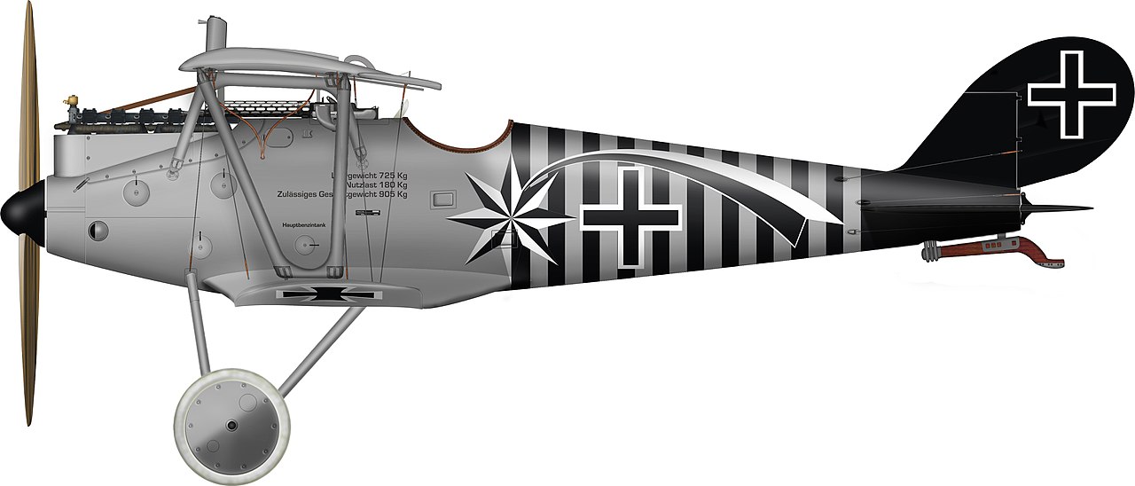 Pfalz D.IIIa Max Holzem