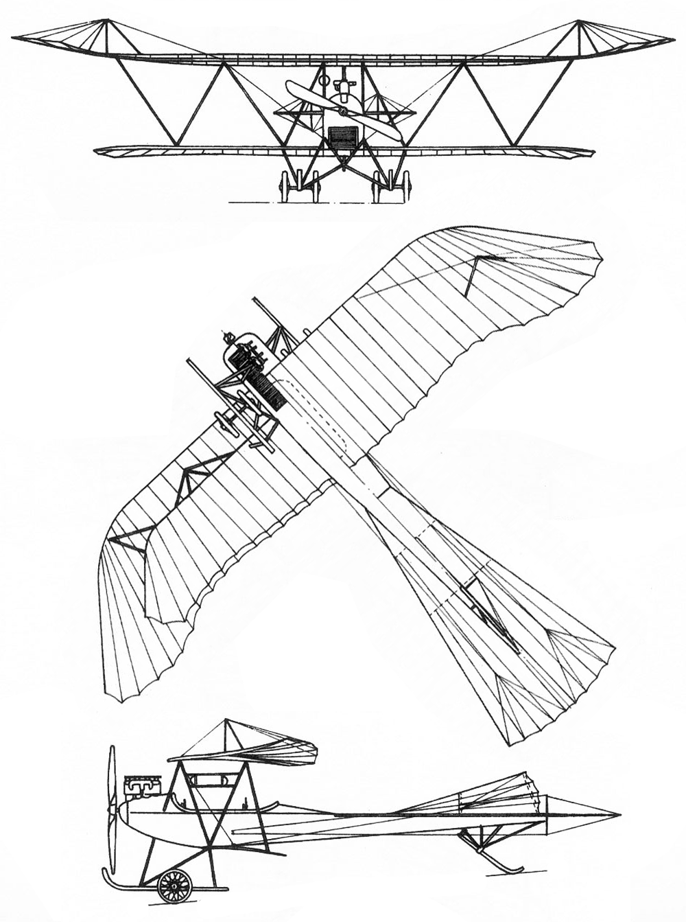 Albatros Doppeltaube